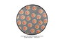 Mijölnir Tranche Circle Djt 140 Multicolor